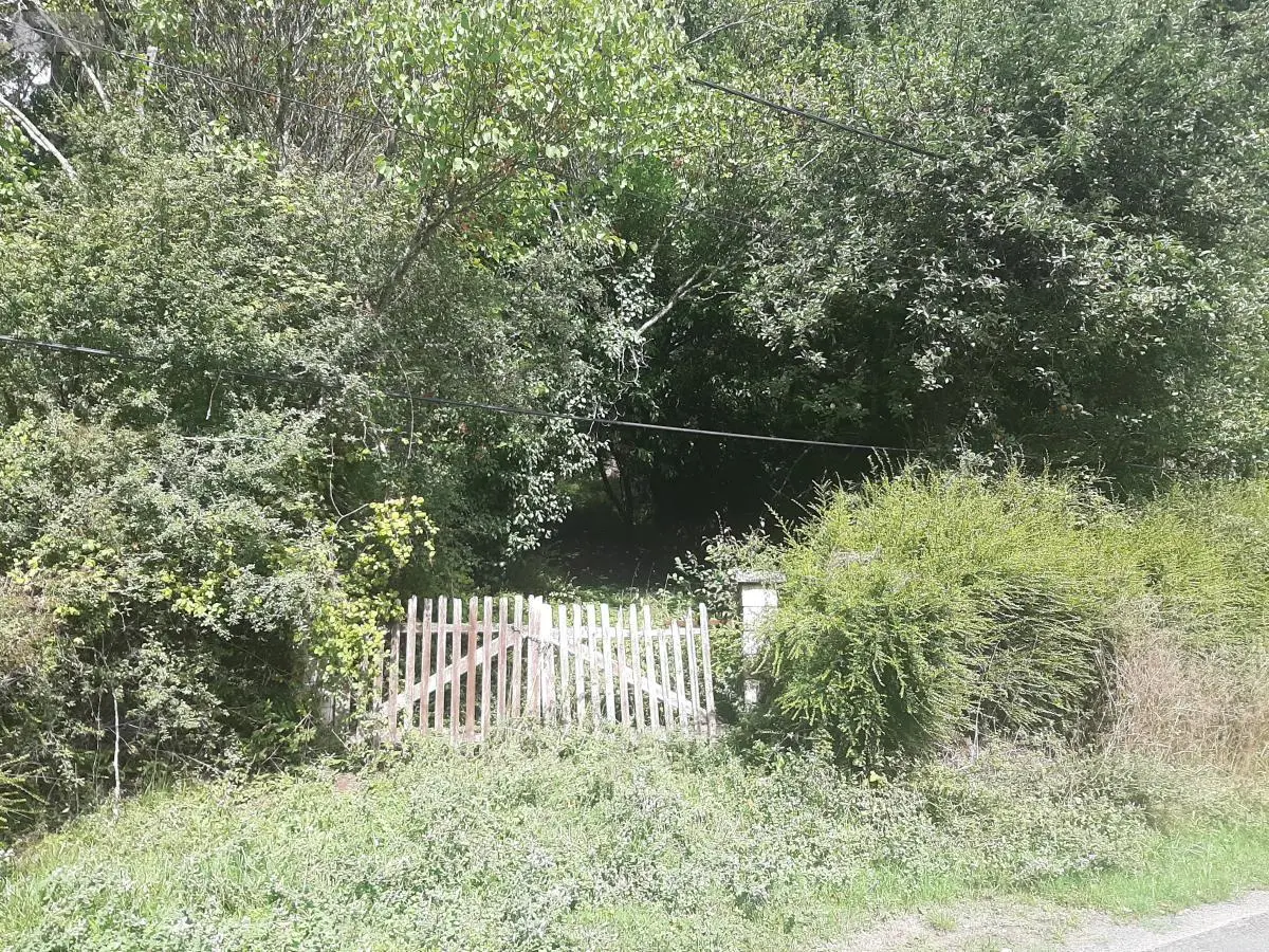 Terrains de loisirs bois etangs a vendre Saint-Épain 37800 Indre-et-Loire 37 10000 euros 37072-671 001