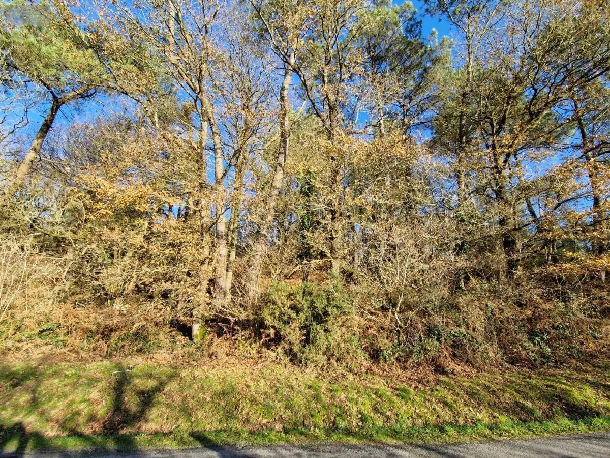 Terrains de loisirs bois etangs a vendre Trédion 56250 Morbihan 56 2800 euros 56056-167 001