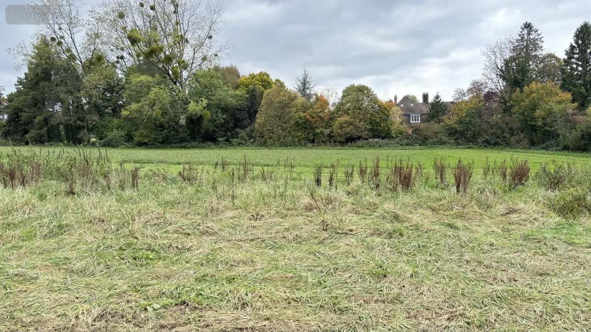 Terrain a batir a vendre Wirwignes 62240 Pas-de-Calais 62 61400 euros 62055-3805 001