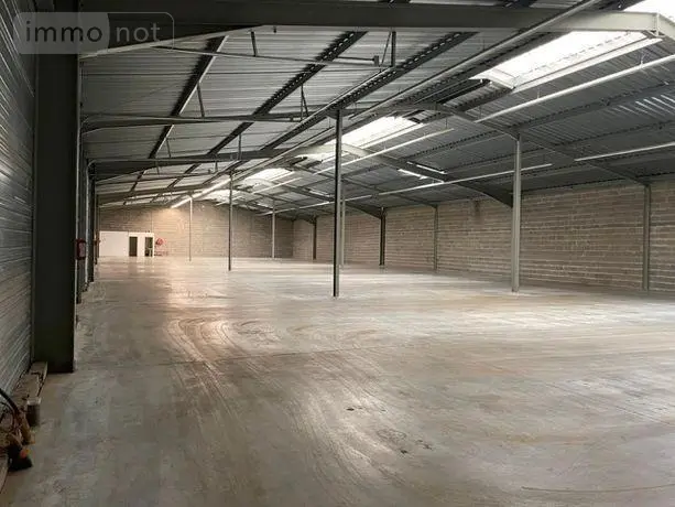 Fonds et murs commerciaux a vendre Notre-Dame-d'Oé 37390 Indre-et-Loire 37 1320 m2 1353200 euros 37072-637 001