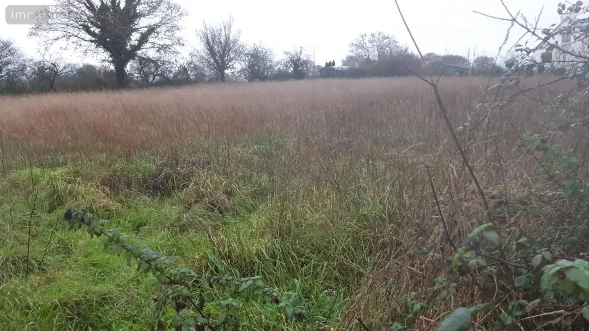 Terrain a batir a vendre Scrignac 29640 Finistère 29 24500 euros 29066-3749 001