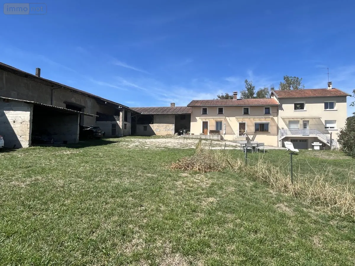 Maison a vendre Villieu-Loyes-Mollon 01800 Ain 01 229 m2 11 pièces 625000 euros 01067-994 001