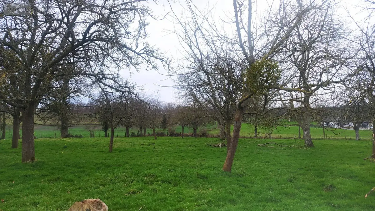 Terrain a batir a vendre Valdallière 14350 Calvados 14 37700 euros V890-VIES 001