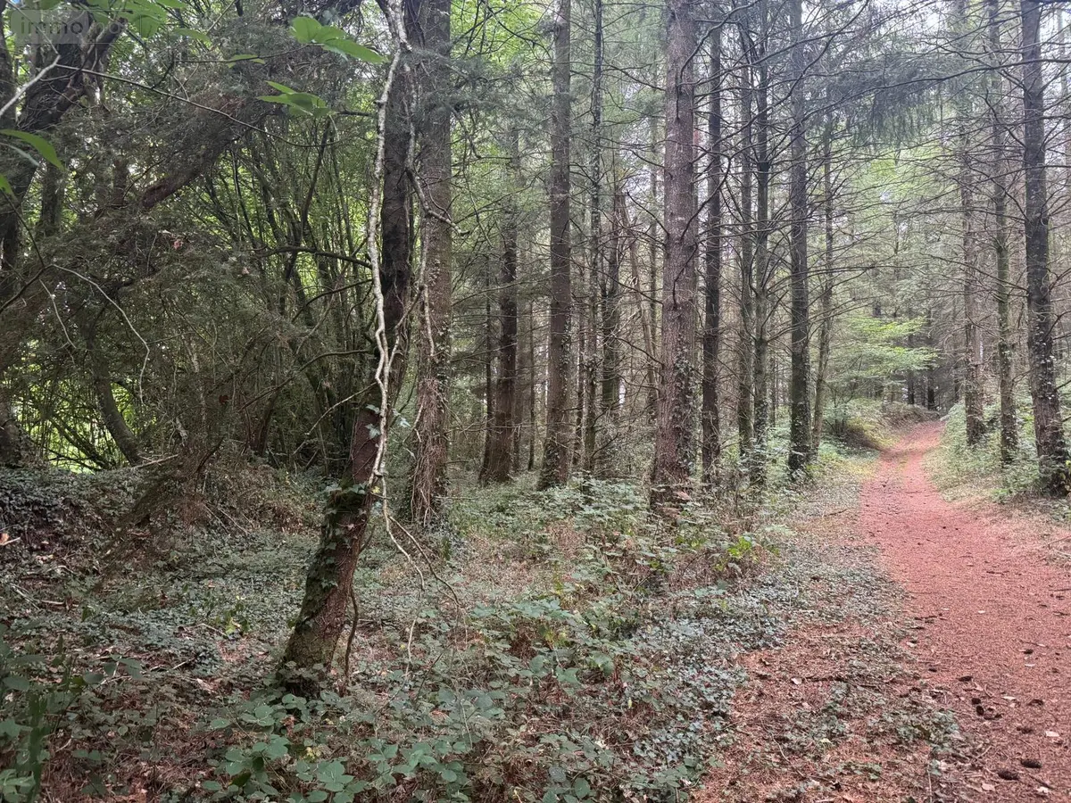 Terrain a batir a vendre Silfiac 56480 Morbihan 56 6900 euros 54 001