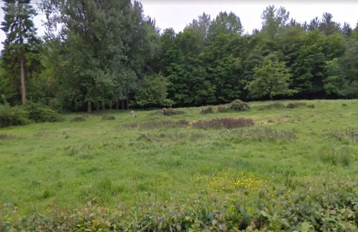 Terrain a batir a vendre Fressin 62140 Pas-de-Calais 62 31000 euros 62071-484 001
