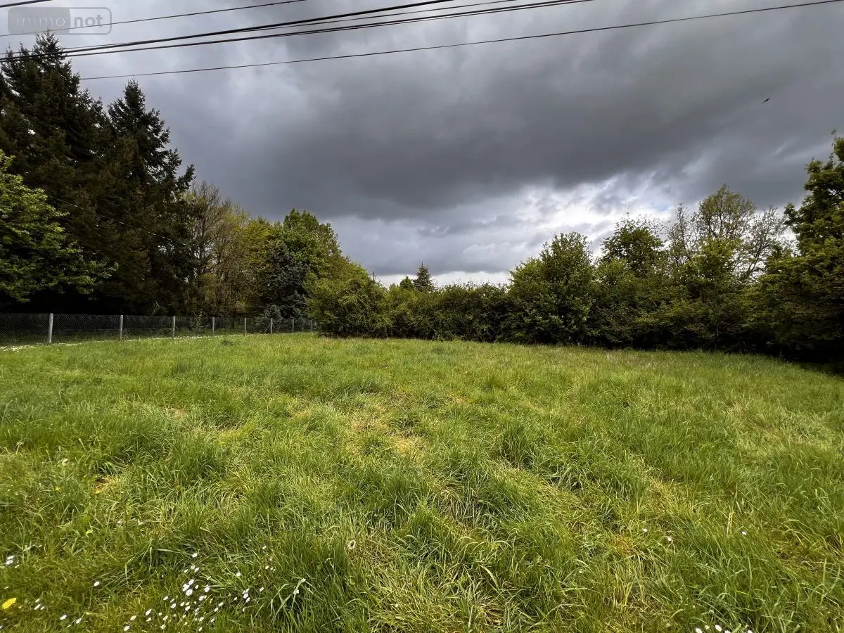 Terrain a batir a vendre Seigy 41110 Loir-et-Cher 41 33000 euros 41033-1767 001