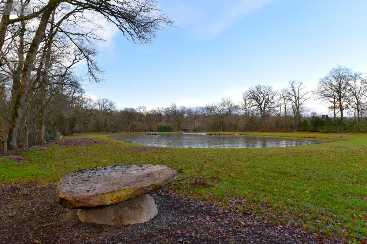 Terrains de loisirs bois etangs a vendre Mézangers 53600 Mayenne 53 63000 euros 53004-1296 001