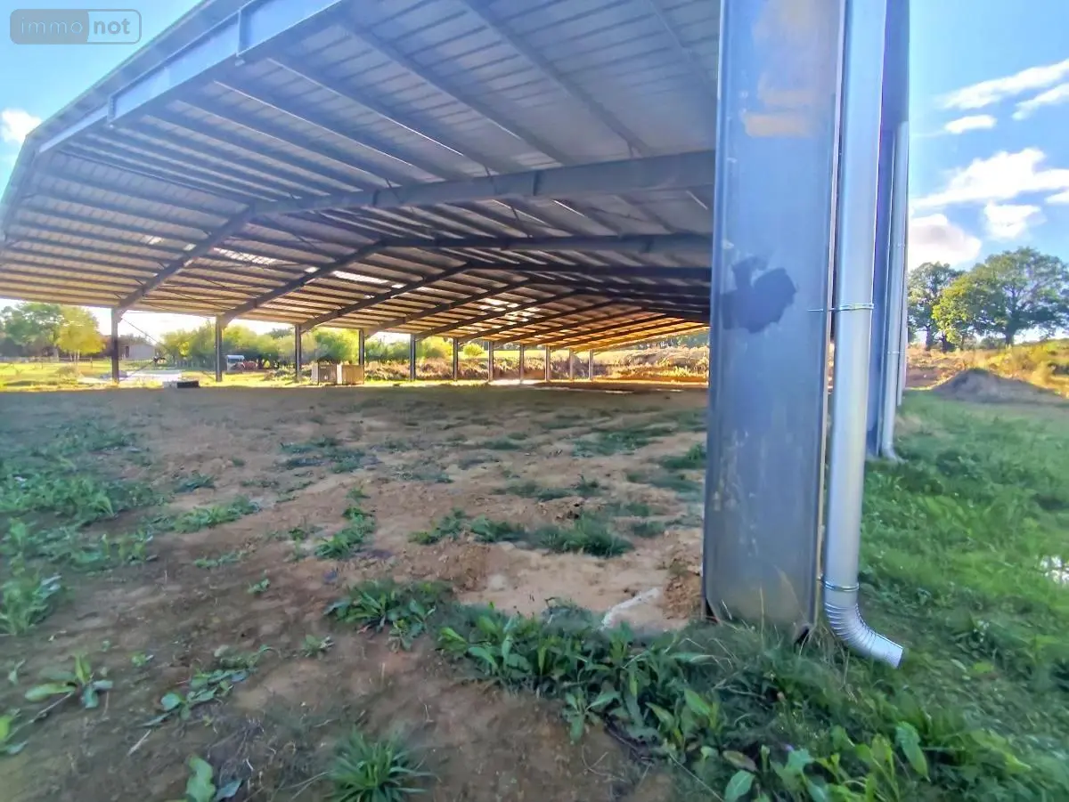 Terrains de loisirs bois etangs a vendre Arçonnay 72610 Sarthe 72 252000 euros 44028-1587 001