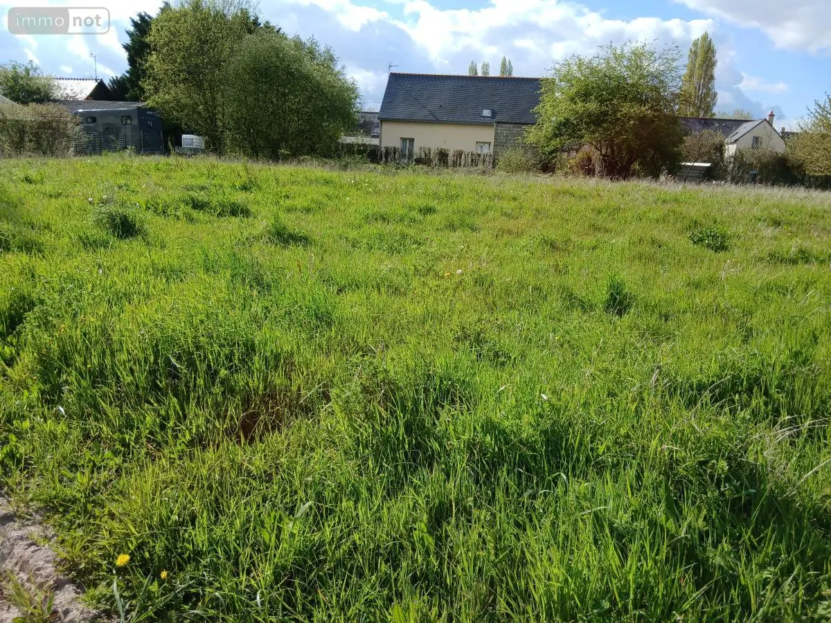 Terrain a batir a vendre Corné 49630 Maine-et-Loire 49 136150 euros 49039-1106 001
