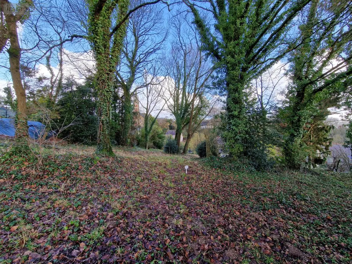 Terrain a batir a vendre Val d'Oust 56460 Morbihan 56 34100 euros 56050-690 001