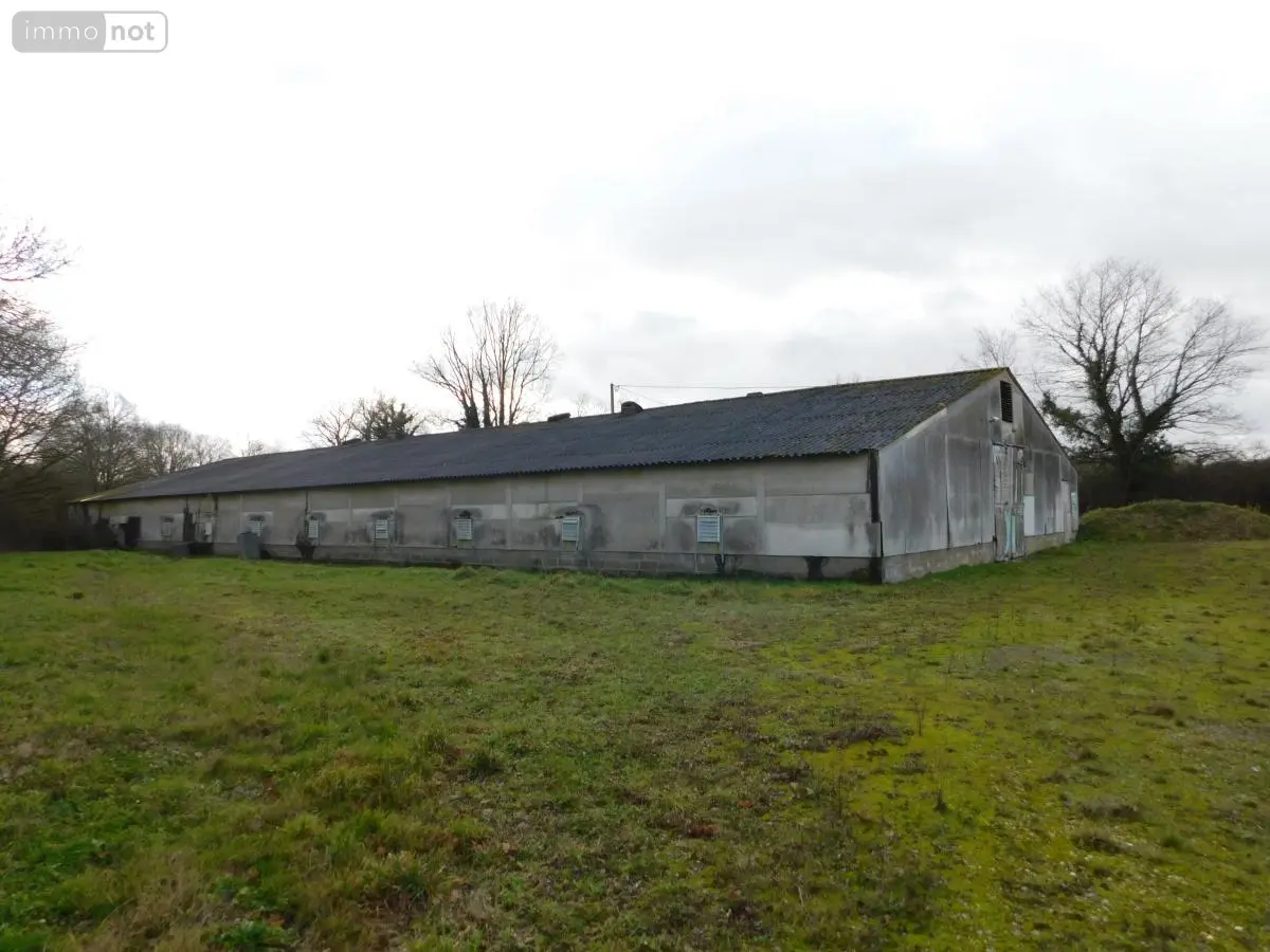 Divers a vendre Notre-Dame-du-Pé 72300 Sarthe 72 760 m2 21200 euros 49096-1402 001
