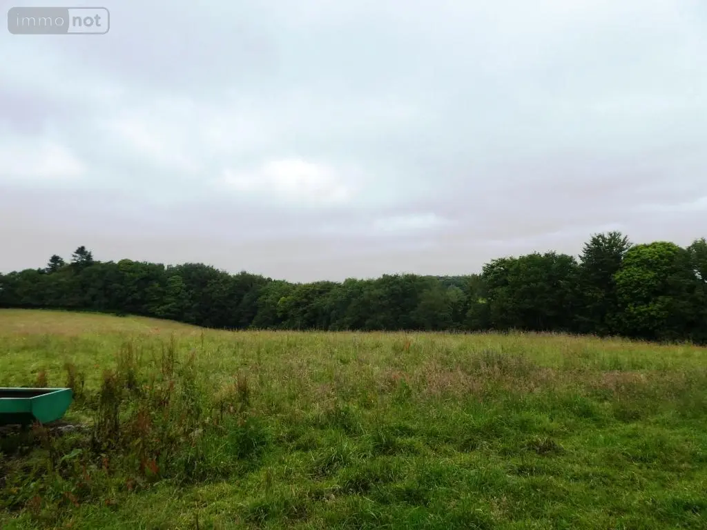 Terrains de loisirs bois etangs a vendre Plouray 56770 Morbihan 56 15990 euros 56075-2387 001