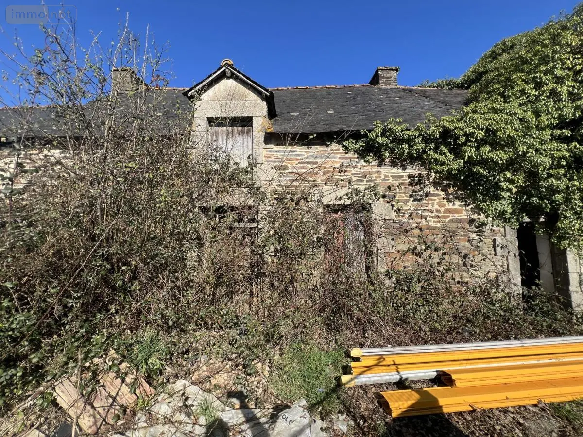 Maison a vendre Ruffiac 56140 Morbihan 56 45 m2 1 pièce 4100 euros 56044-1399 001