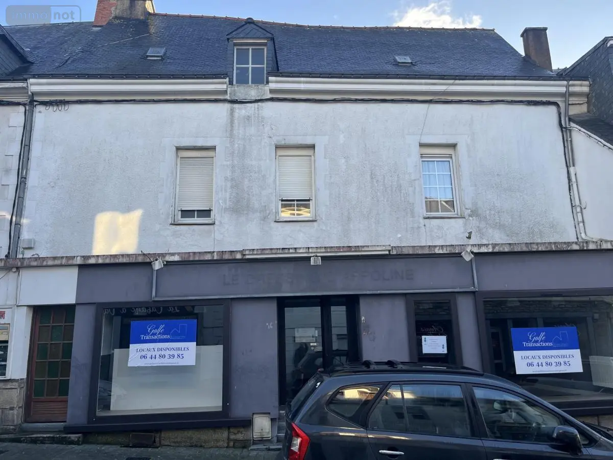 Immeuble de rapport a vendre Ploërmel 56800 Morbihan 56 206 m2 223900 euros 56044-1452 001