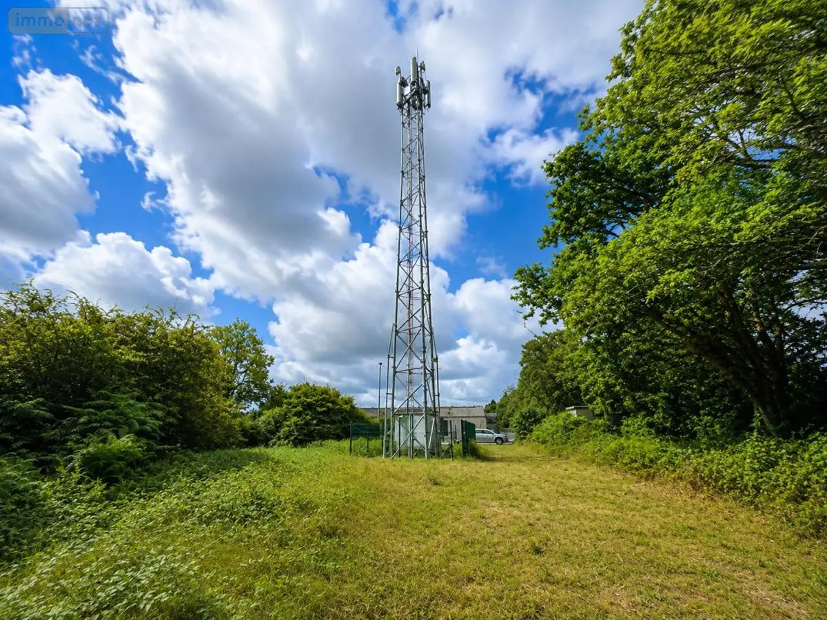 Terrains de loisirs bois etangs a vendre Pluguffan 29700 Finistère 29 106500 euros 29015-656 001