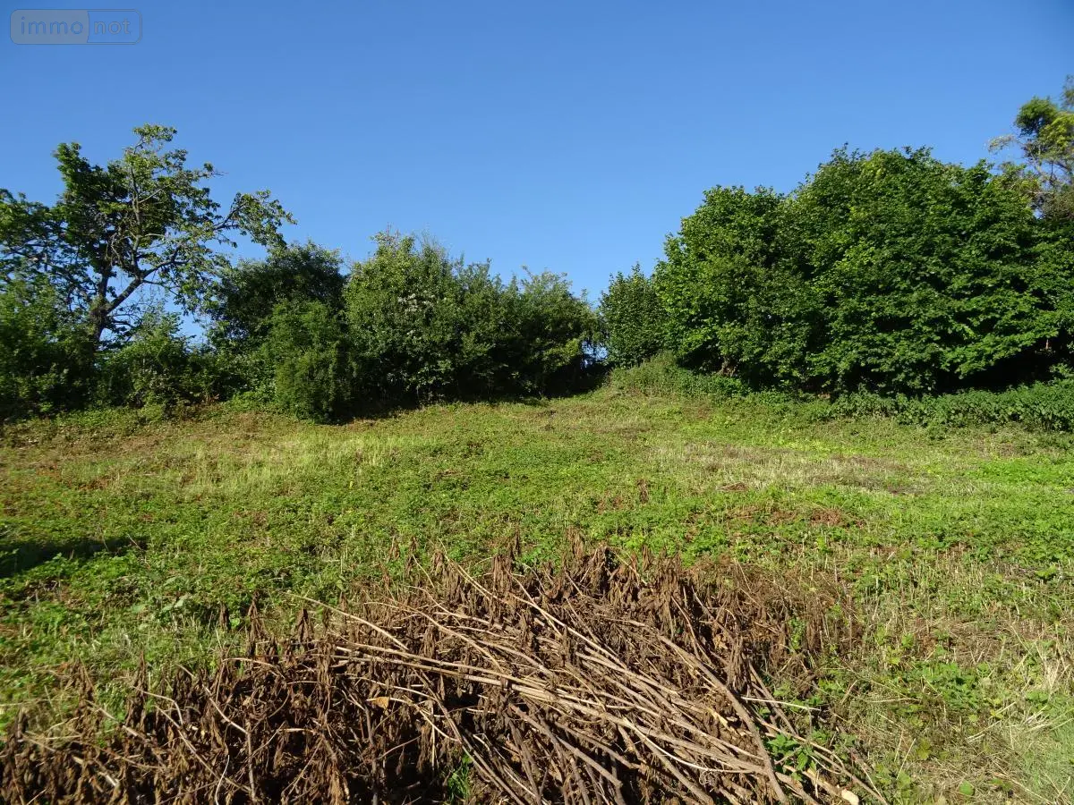 Terrain a batir a vendre Prouilly 51140 Marne 51 79000 euros 51082-2239 001