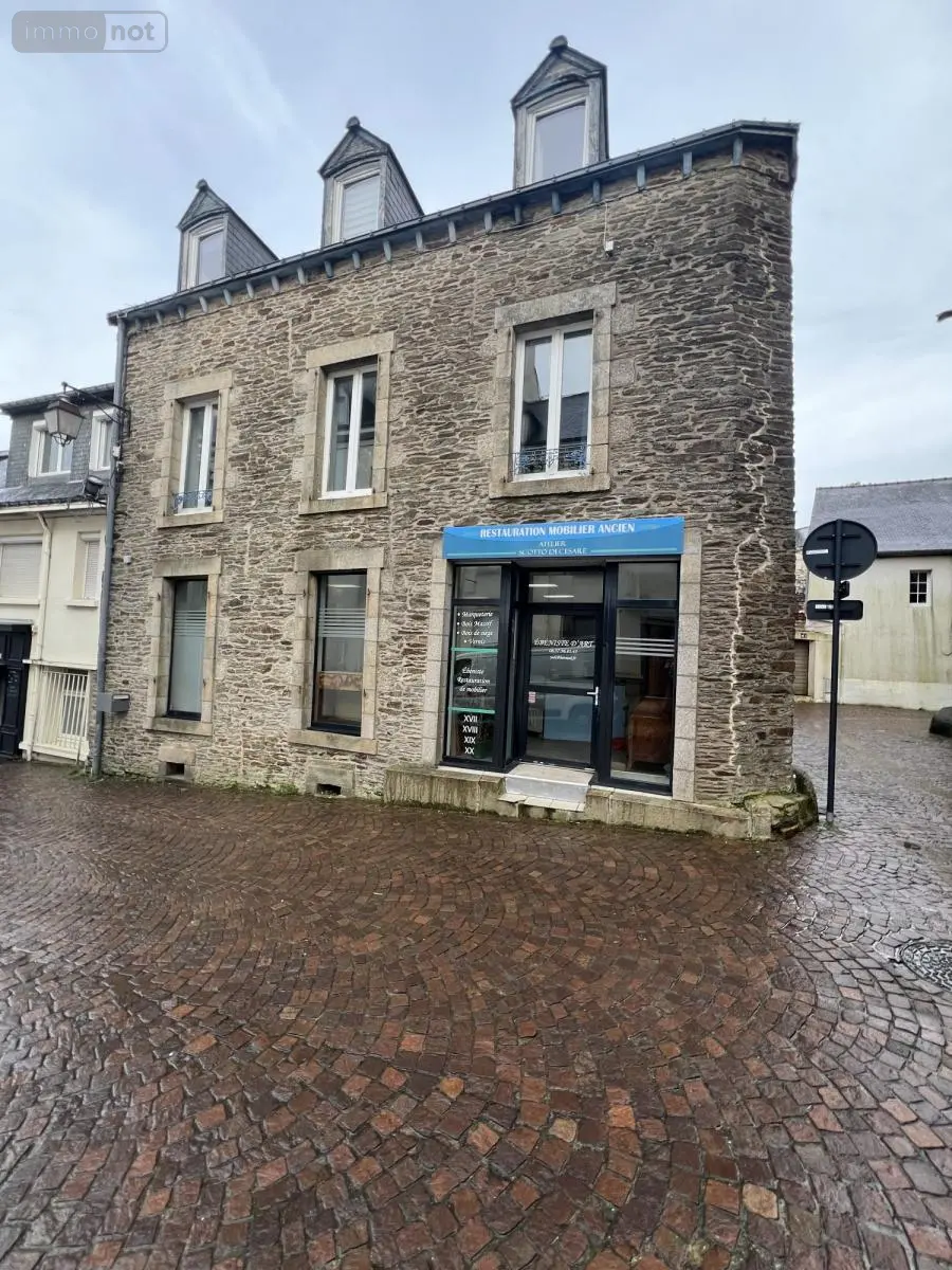 Immeuble de rapport a vendre Ploërmel 56800 Morbihan 56 185 m2 291250 euros 56044-1451 001