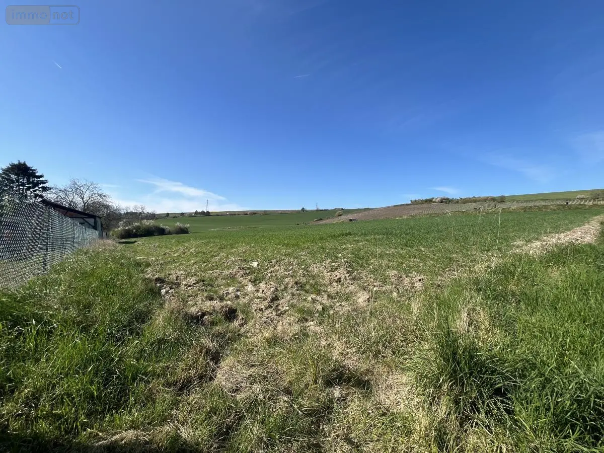 Terrain a batir a vendre Bouleuse 51170 Marne 51 85600 euros 51066-2027 001