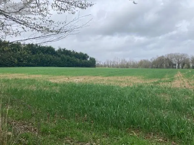 Terrain a batir a vendre Guer 56380 Morbihan 56 218190 euros 56046-1076 001