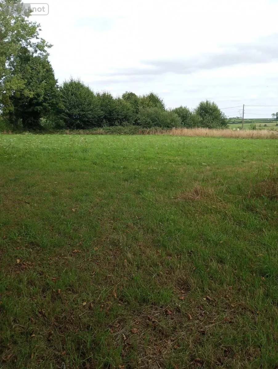 Terrains de loisirs bois etangs a vendre Clairfontaine 02260 Aisne 02 86000 euros 02082-580 001