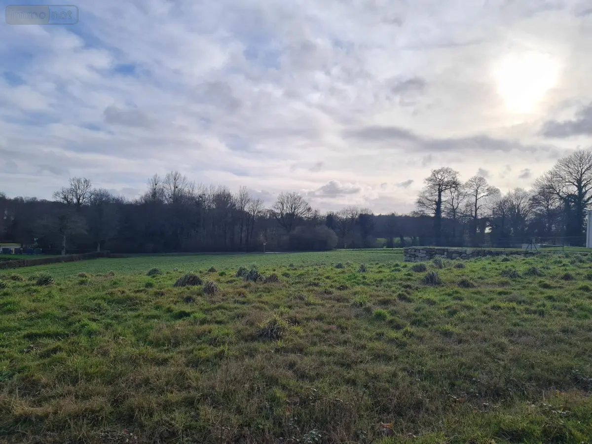 Terrain a batir a vendre Pleugriffet 56120 Morbihan 56 27400 euros 56053-2511 001