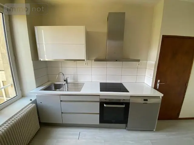 Location appartement Nancy 54000 Meurthe-et-Moselle 54 65 m2 700 euros 54004-L94 001