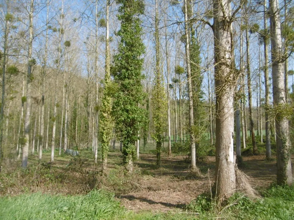 Terrains de loisirs bois etangs a vendre Pont-Farcy 50420 Manche 50 11000 euros 14076-5642 001