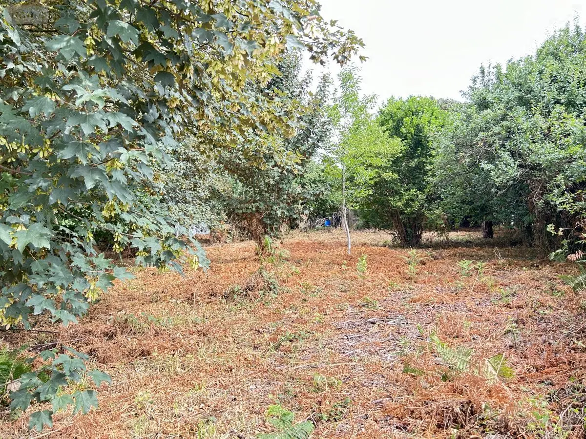 Terrain a batir a vendre Guer 56380 Morbihan 56 47000 euros 56046-1359 001