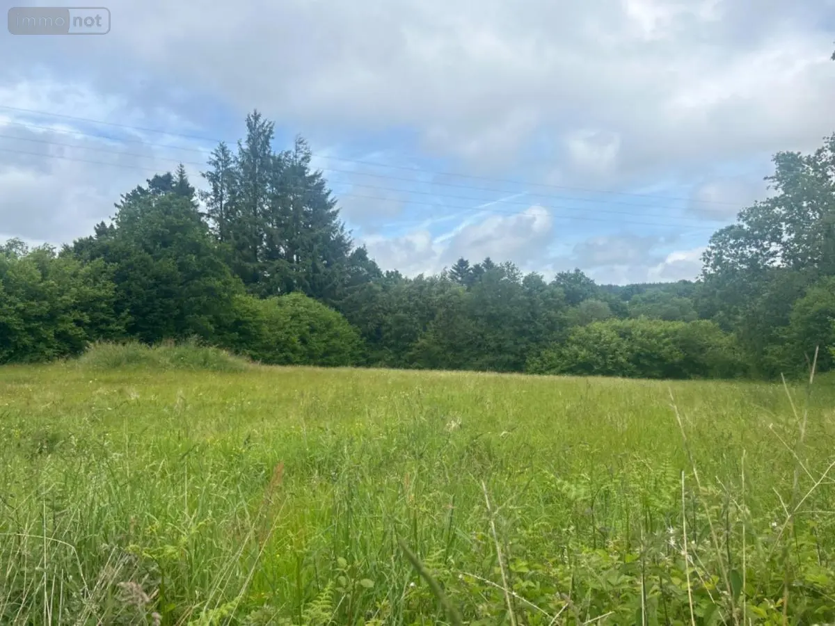 Terrain a batir a vendre Berrien 29690 Finistère 29 39500 euros 29064-2784 001