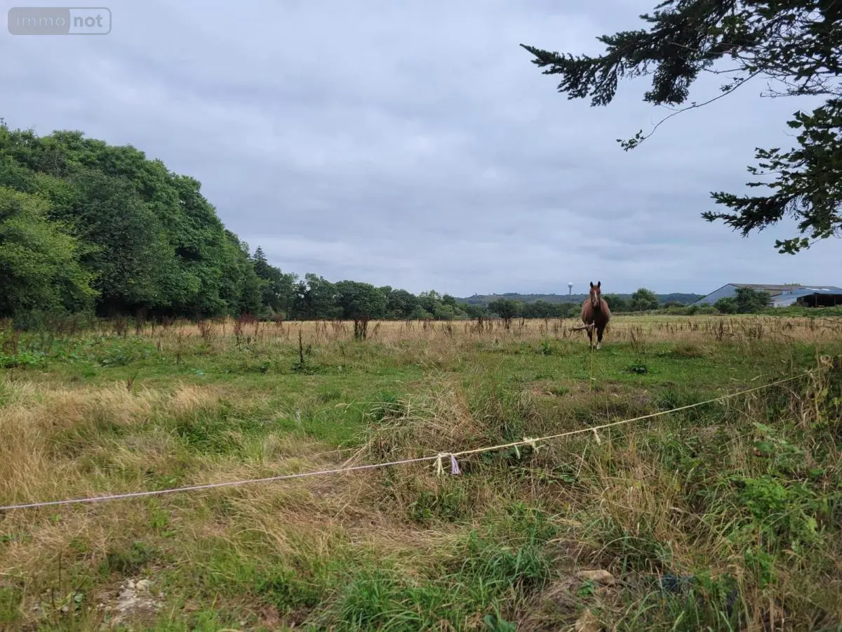 Terrain a batir a vendre Roudouallec 56110 Morbihan 56 36188 euros 56071-2543 001