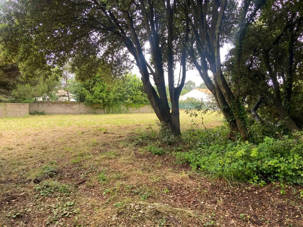 Terrain a batir a vendre Le Grand-Village-Plage 17370 Charente-Maritime 17 116600 euros 79066-116 001