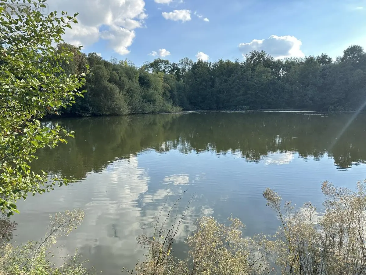 Terrains de loisirs bois etangs a vendre Saint-Georges-de-Montaigu 85600 Vendée 85 83900 euros 85020-1498 001
