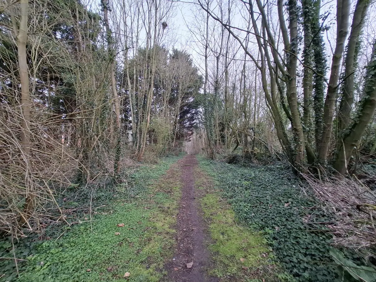 Terrains de loisirs bois etangs a vendre Ames 62190 Pas-de-Calais 62 28000 euros 62050-1772 001
