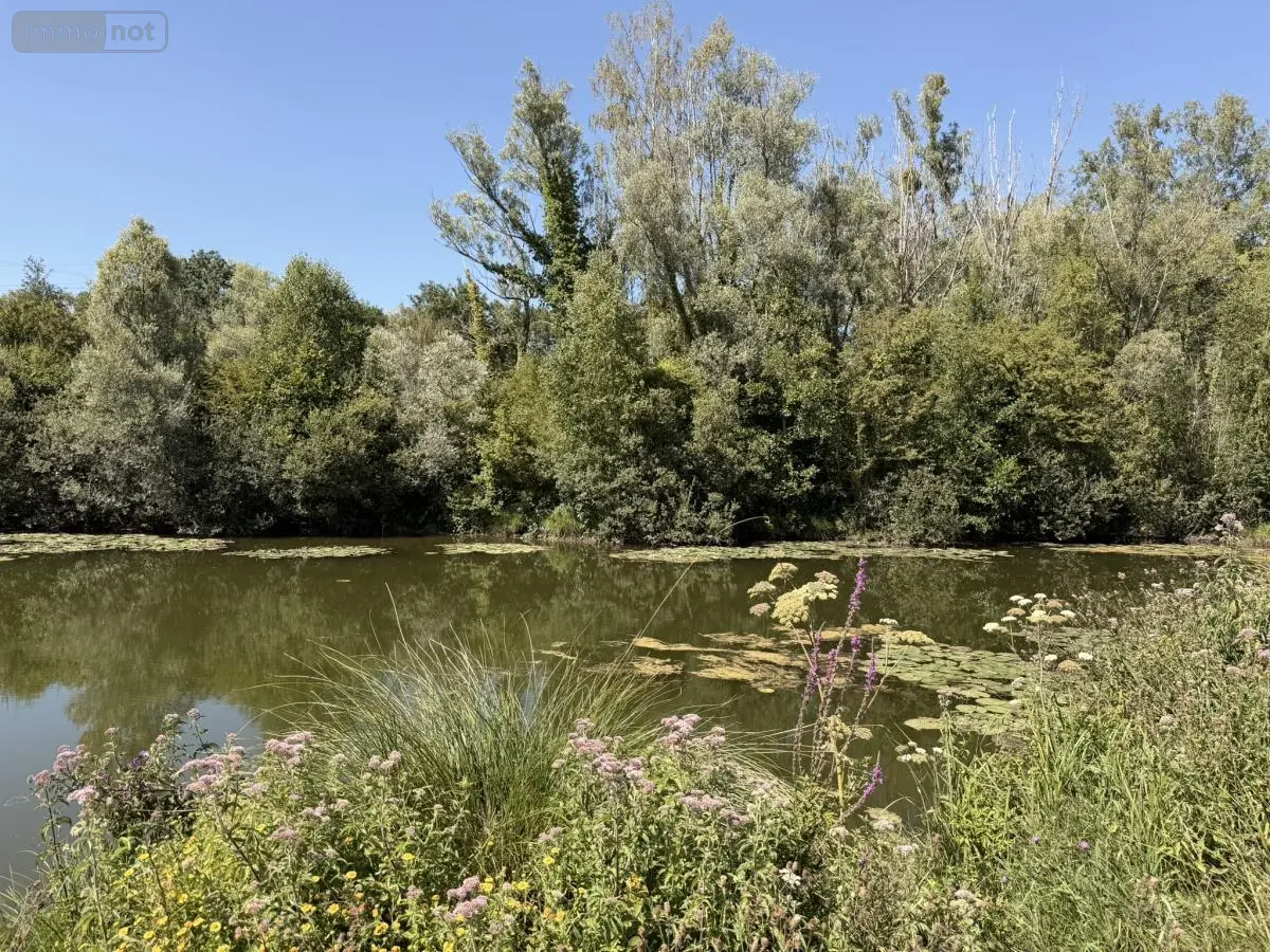 Terrains de loisirs bois etangs a vendre Argœuves 80470 Somme 80 70000 euros 80004-1271 001