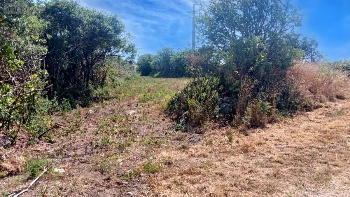 Terrain a batir a vendre Vicq-sur-Mer 50330 Manche 50 69680 euros 50050-564 001