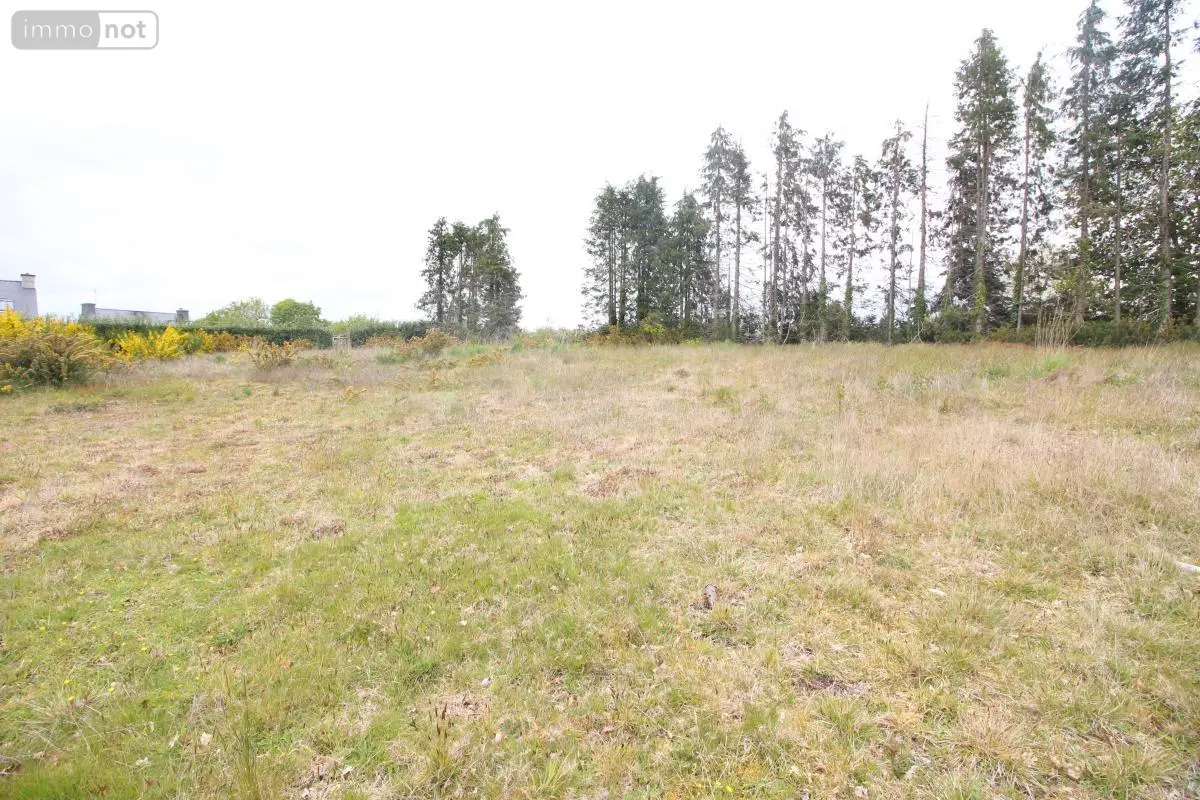 Terrain a batir a vendre Meslan 56320 Morbihan 56 65672 euros 56087-200 001