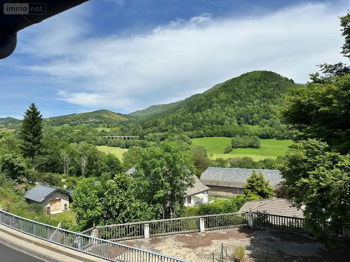 Fonds et murs commerciaux a vendre Saint-Jacques-des-Blats 15800 Cantal 15 700 m2 95400 euros 15046-16 001