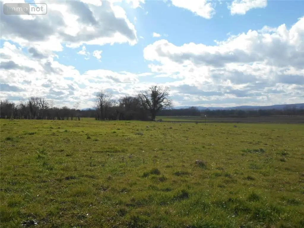 Terrain a batir a vendre Arbigny 01190 Ain 01 44000 euros 01018-408 001