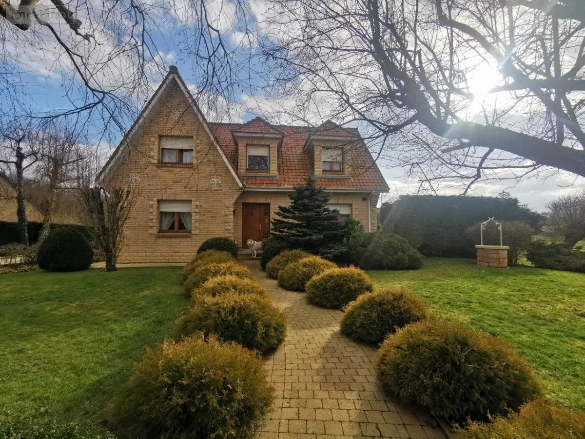 Maison a vendre Bienvillers-au-Bois 62111 Pas-de-Calais 62 116 m2 5 pièces 240350 euros 62130-2263 001