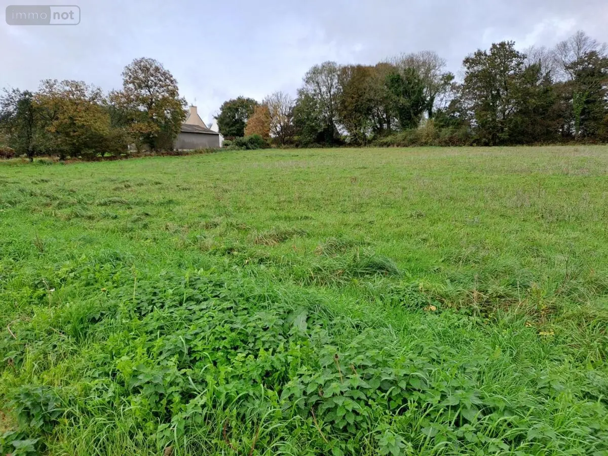Terrain a batir a vendre Scrignac 29640 Finistère 29 31500 euros 29064-2761 001