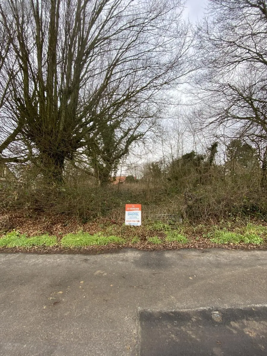 Terrain a batir a vendre Bailleulval 62123 Pas-de-Calais 62 47700 euros 62114-776 001