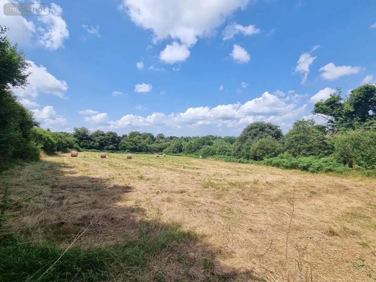 Terrains de loisirs bois etangs a vendre Plouray 56770 Morbihan 56 17500 euros 29066-3770 001