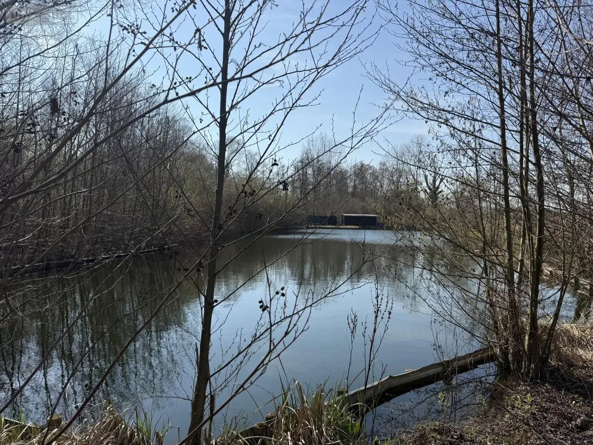 Terrains de loisirs bois etangs a vendre Glisy 80440 Somme 80 100000 euros 80121-2778 001
