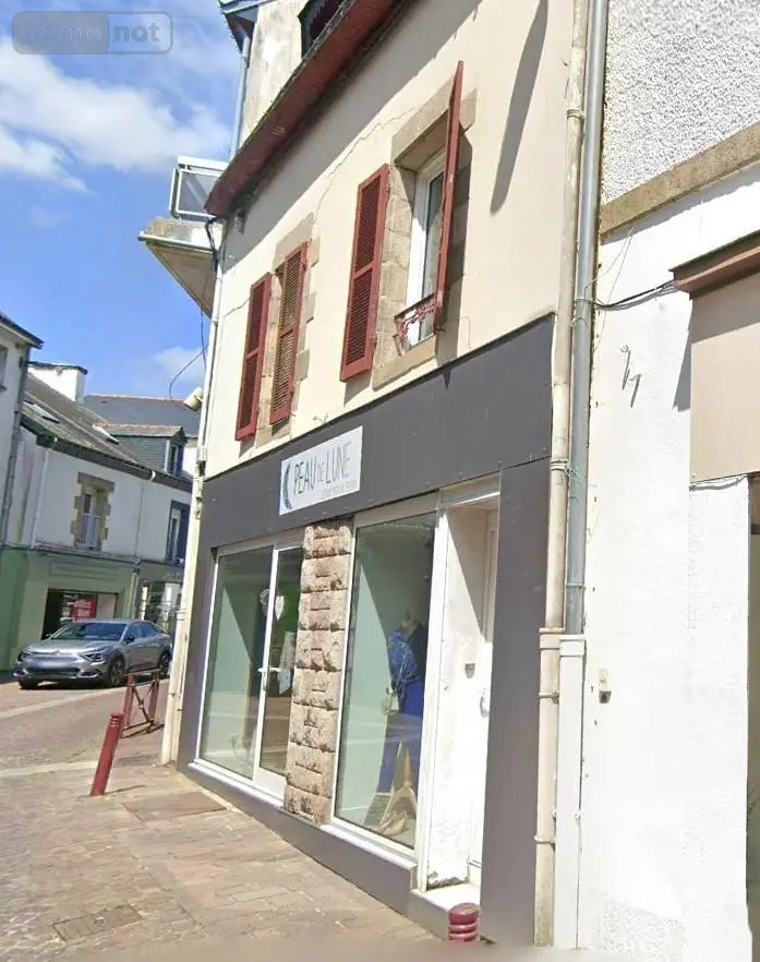Immeuble de rapport a vendre Locminé 56500 Morbihan 56 120 m2 187920 euros 56077-943 001