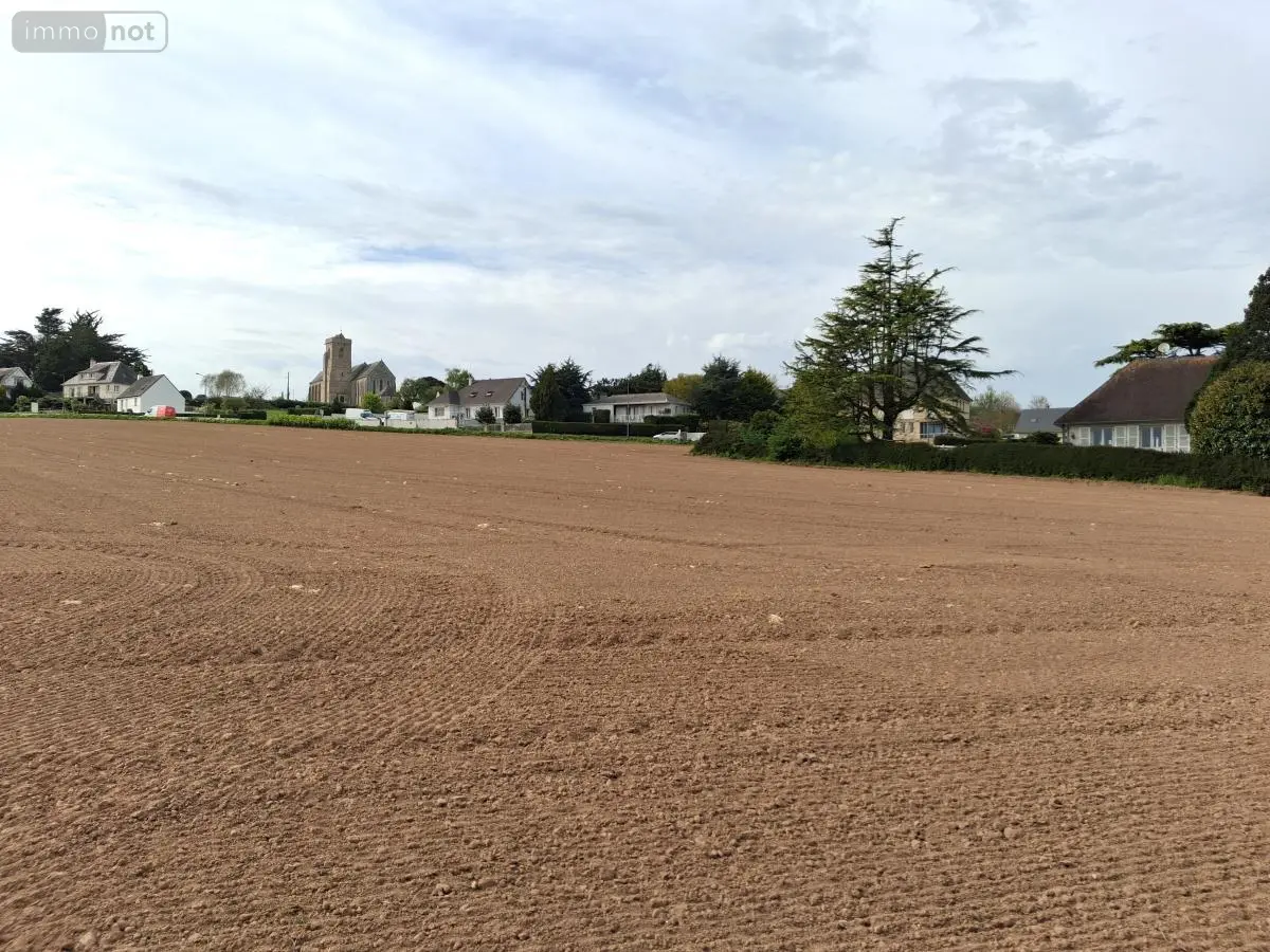 Terrain a batir a vendre Quettehou 50630 Manche 50 333536 euros 50112-842 001