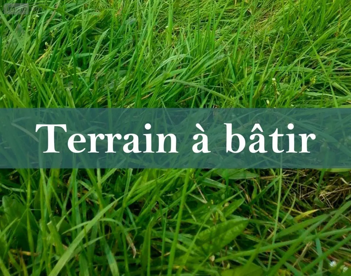 Terrain a batir a vendre Brain-sur-Allonnes 49650 Maine-et-Loire 49 33953 euros 49076-291 001