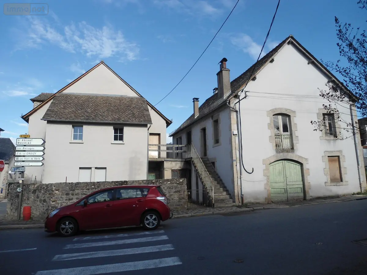 Immeuble de rapport a vendre Argentat-sur-Dordogne 19320 Corrèze 19 400 m2 104372 euros achat_immeuble_com_19010_19320 001