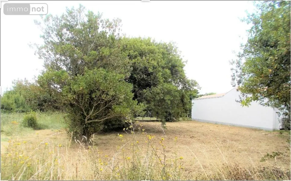 Terrain a batir a vendre Saint-Denis-d'Oléron 17650 Charente-Maritime 17 157800 euros DD/JOM/23-21 001
