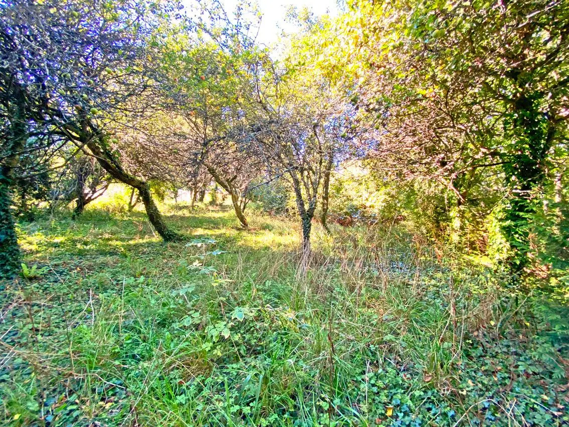 Terrain a batir a vendre Plougastel-Daoulas 29470 Finistère 29 900 m2 141000 euros PLOUG-Lot A 001