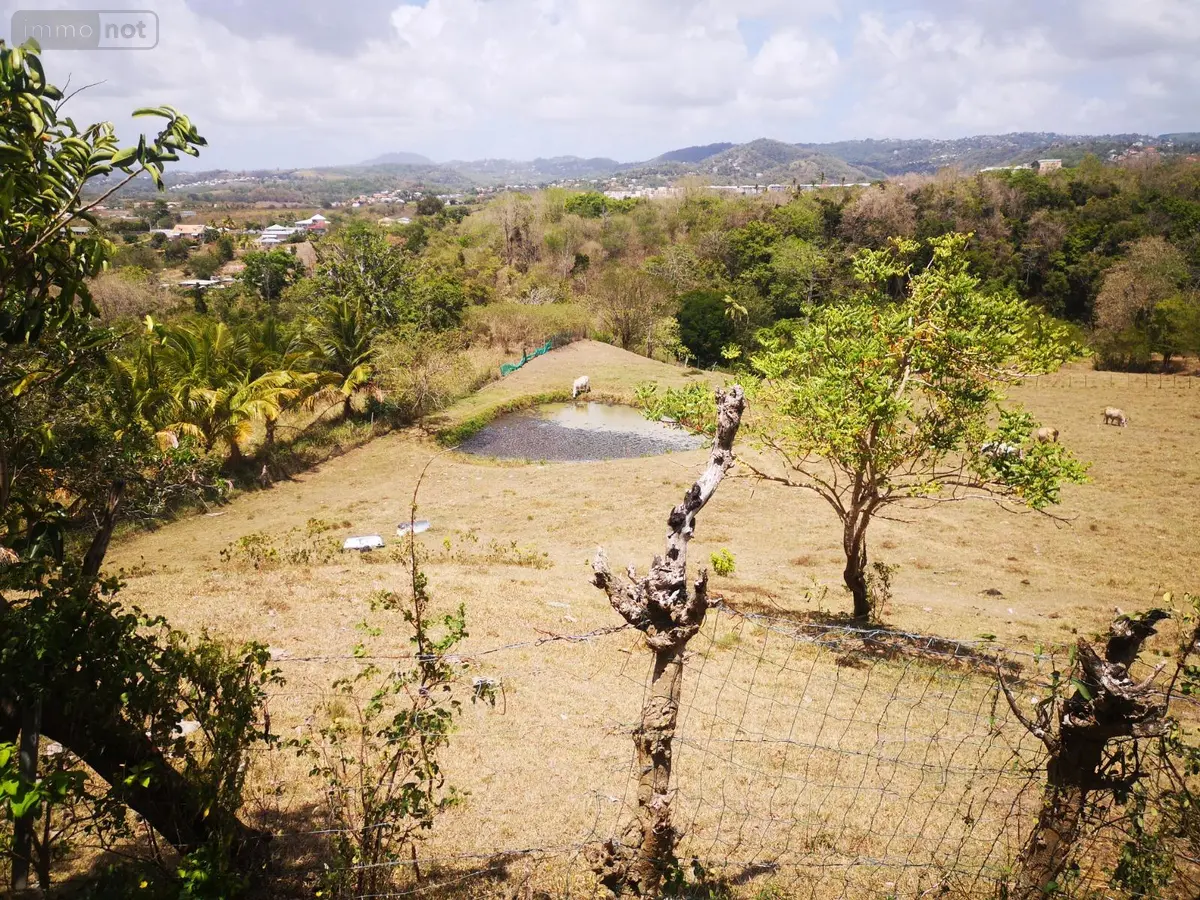 Propriete a vendre Rivière-Salée 97215 Martinique 972 170 m2 4 pièces 480000 euros achat_propriete_com_97221_97215 001